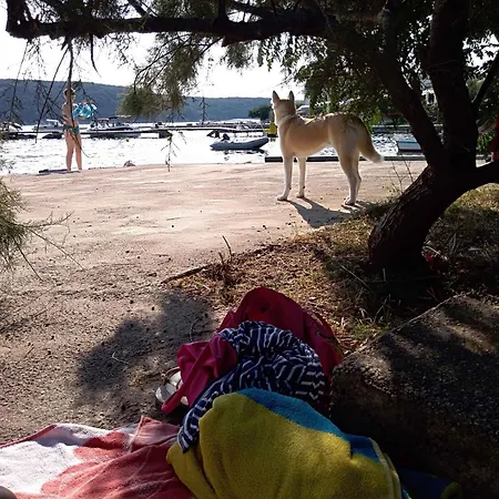 Appartement 7 Kampor